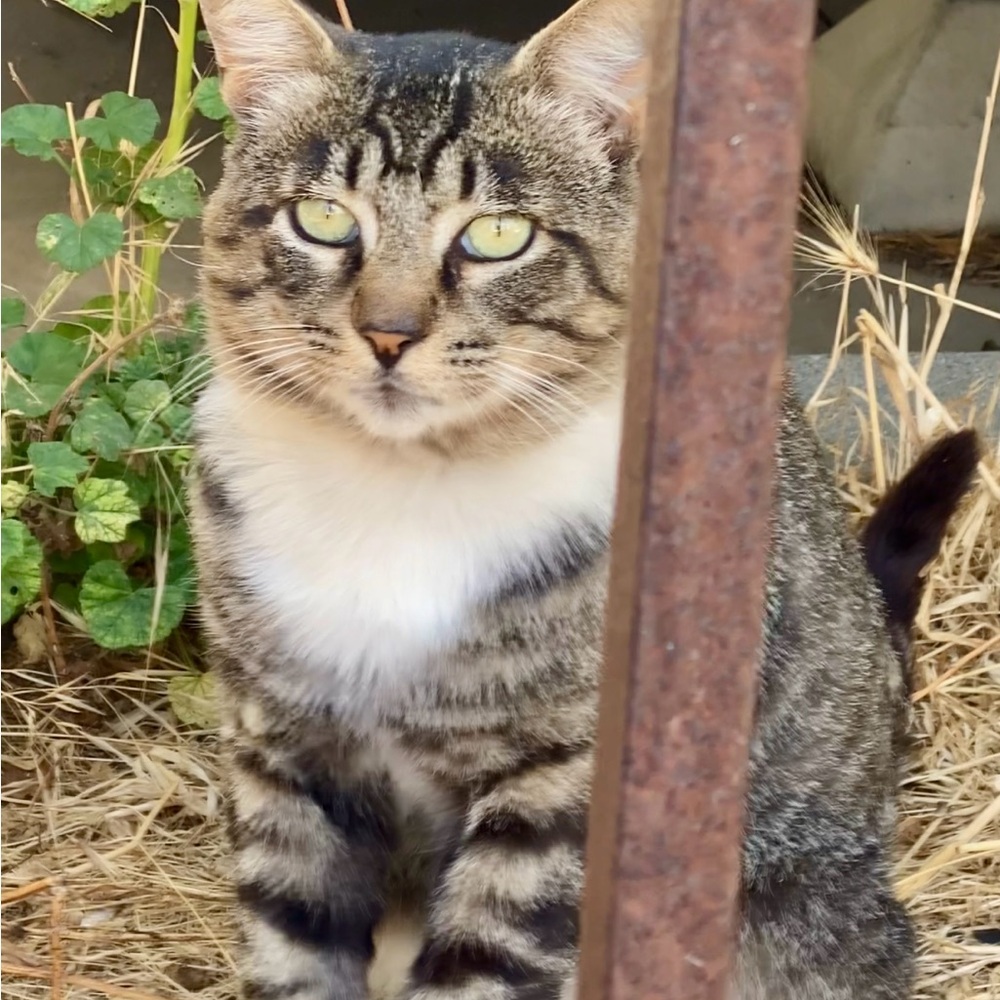 💕TRADE💕 - Picture 10 of 13